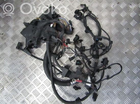 BMW 5 GT F07 Other wiring loom 851341706 851341606 736078005B 851341706 851341606 736078005B