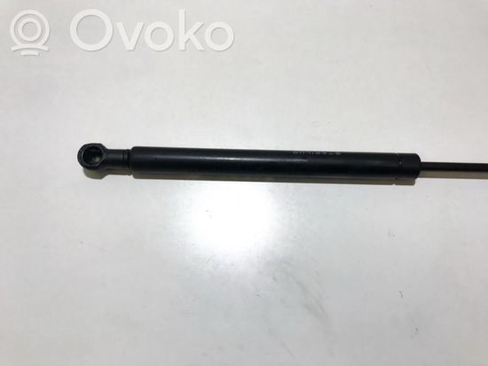 Audi A5 8T 8F Tailgate/trunk strut/damper 8t0827919 02s 8t0827919 02s