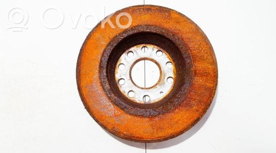 Volkswagen PASSAT B6 Rear brake disc neventiliuojamas neventiliuojamas