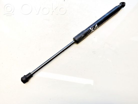 BMW X1 E84 Tailgate/trunk strut/damper