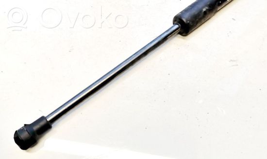 BMW X1 E84 Tailgate/trunk strut/damper