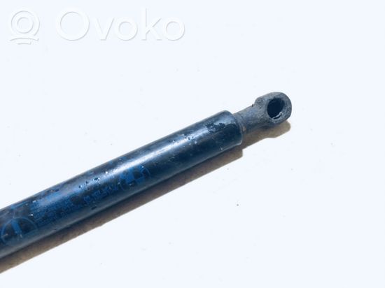 BMW 3 E46 Front bonnet/hood damper/strut 51238202688 5123-8202688 51238202688 5123-8202688