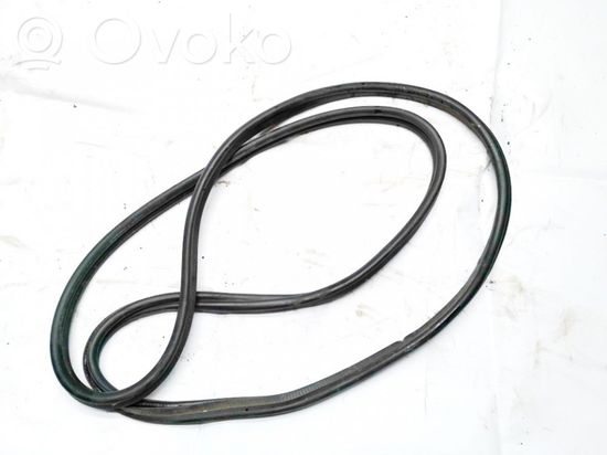 BMW 1 F20 F21 Rubber seal rear door