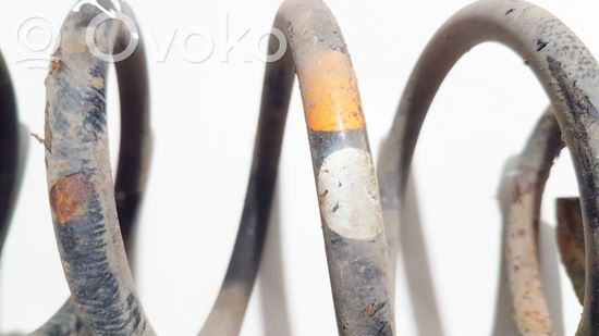 Volkswagen Golf V Rear coil spring