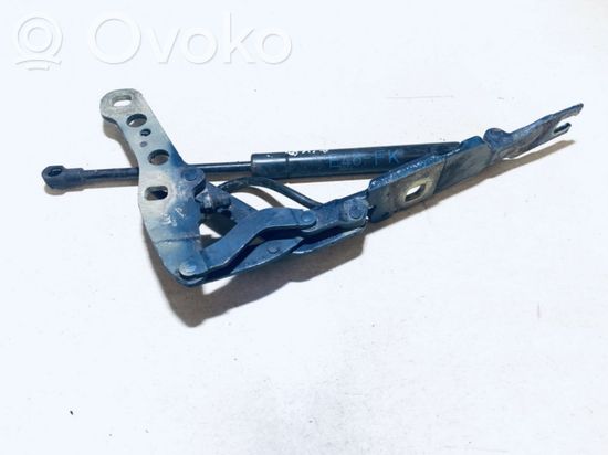 BMW 3 E46 Engine bonnet/hood hinges 41618200123 41618200123