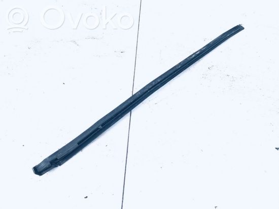 Mercedes-Benz C W203 Rear door glass trim molding