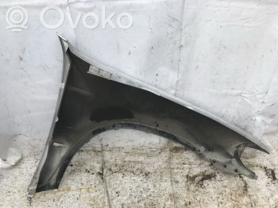 BMW X5 E53 Fender sidabrine sidabrine