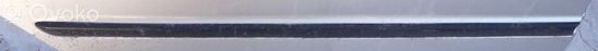 BMW 3 E46 Rear door trim (molding)