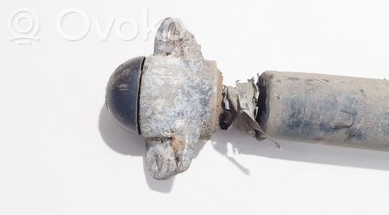 Volkswagen Bora Rear shock absorber/damper