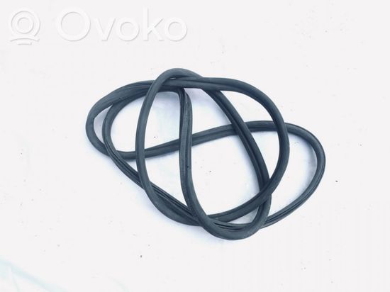 BMW 3 F30 F31 F80 Rubber seal rear door