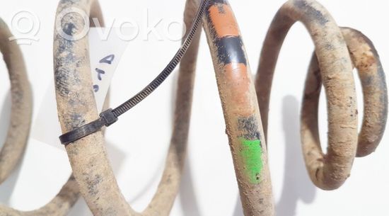 Volkswagen PASSAT B5 Rear coil spring