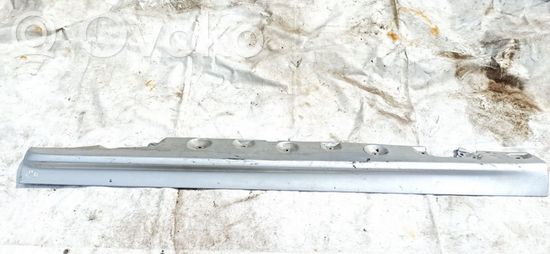 BMW 3 E46 Sill