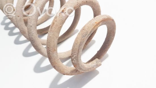 Volkswagen Golf IV Rear coil spring