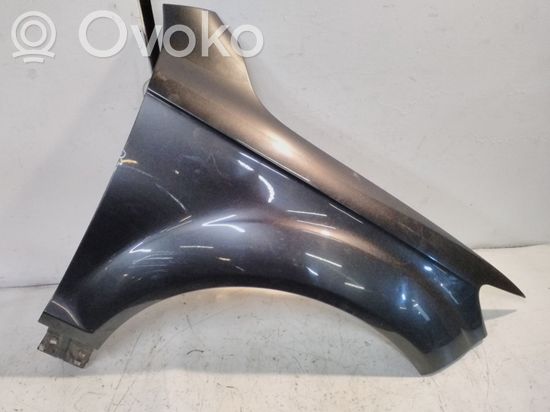 Audi Q7 4L Fender