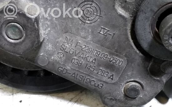 Audi A4 S4 B6 8E 8H Alternator belt tensioner 038145283 038145283A