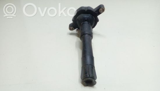 BMW 5 E39 High voltage ignition coil 1748017 11860
