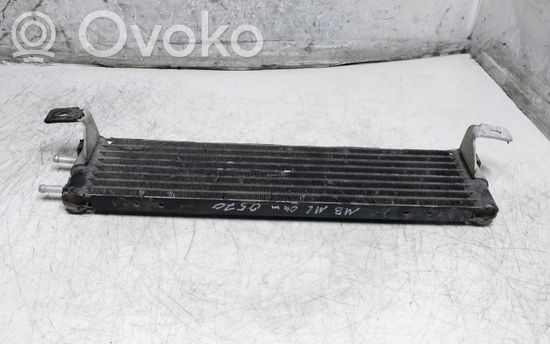 Mercedes-Benz ML W163 Transmission/gearbox oil cooler A1635000202 54004604