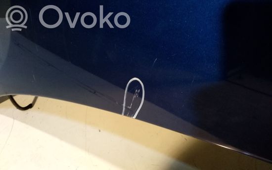 Volkswagen PASSAT B5.5 Engine bonnet/hood