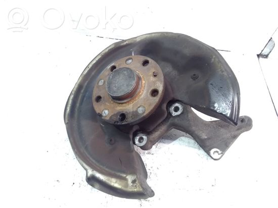 Volkswagen PASSAT CC Rear wheel hub spindle/knuckle 3C0505435F