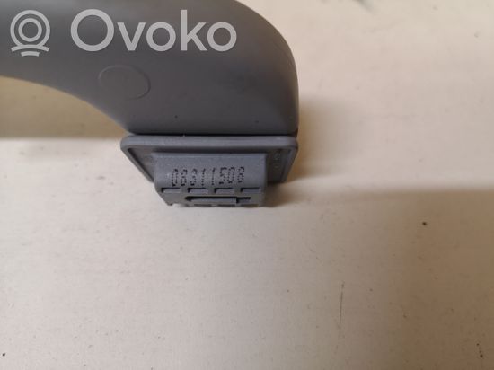 BMW 1 E81 E87 Front interior roof grab handle 08311508
