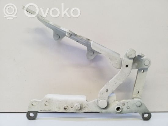 BMW 7 F01 F02 F03 F04 Engine bonnet/hood hinges OEM