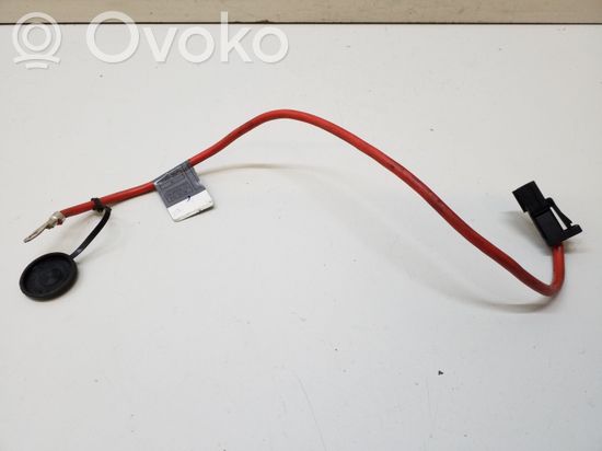 BMW 3 E92 E93 Positive cable (battery) 6938504