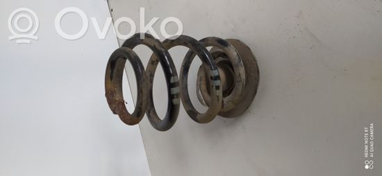 BMW 3 E46 Rear coil spring