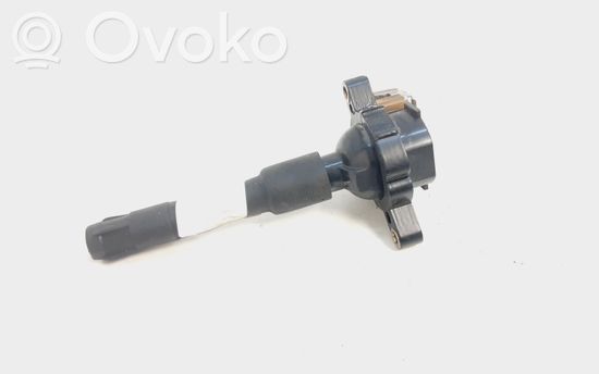 BMW X5 E53 High voltage ignition coil 1748017