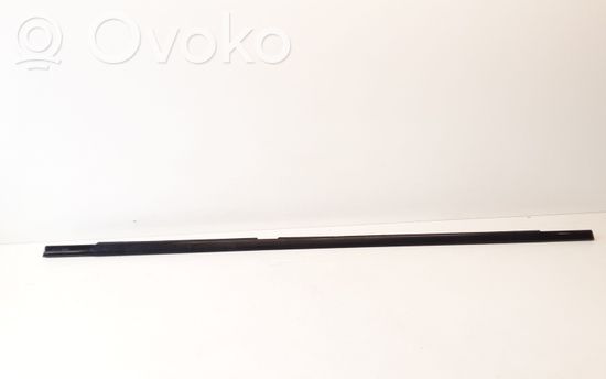 BMW X5 E53 Front door trim (molding)