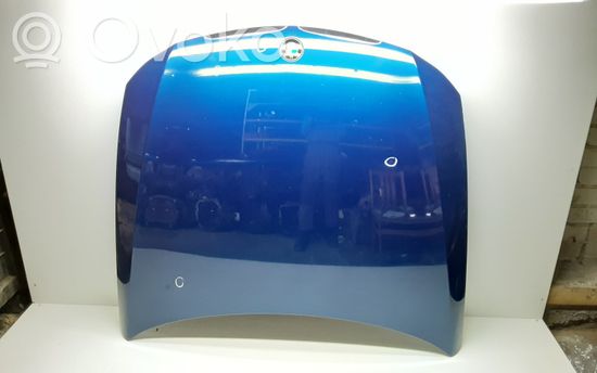 BMW 3 E90 E91 Engine bonnet/hood