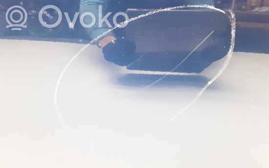BMW 3 E90 E91 Front door