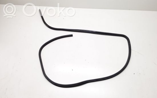 BMW 1 E81 E87 Front door rubber seal 7066617