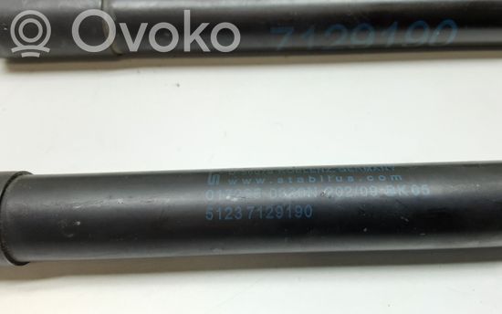 BMW 3 E90 E91 Front bonnet/hood damper/strut 51237129190