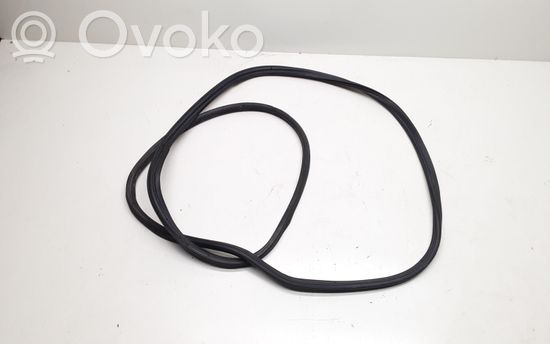 BMW X5 E70 Trunk rubber seal (body)