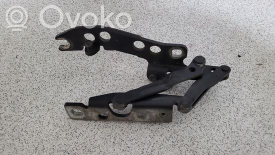BMW 5 E39 Engine bonnet/hood hinges 41618203276