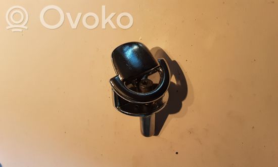 Audi A7 S7 4G Tie down hook / loop 3C9867160