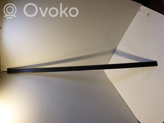 BMW 5 E39 Front door trim (molding) 8159295