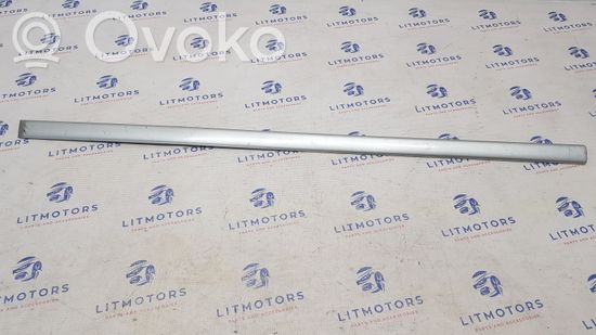 BMW 5 E39 Front door trim (molding) 7004023