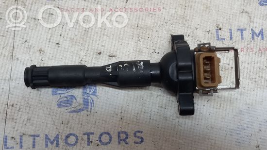 BMW 5 E39 High voltage ignition coil 1748017