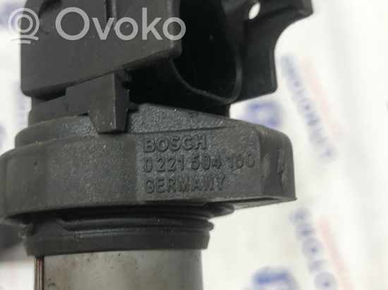 BMW 5 E39 High voltage ignition coil 0221504100