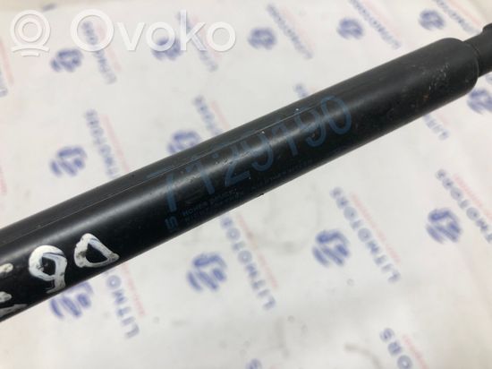 BMW 3 E92 E93 Front bonnet/hood damper/strut 51237129190