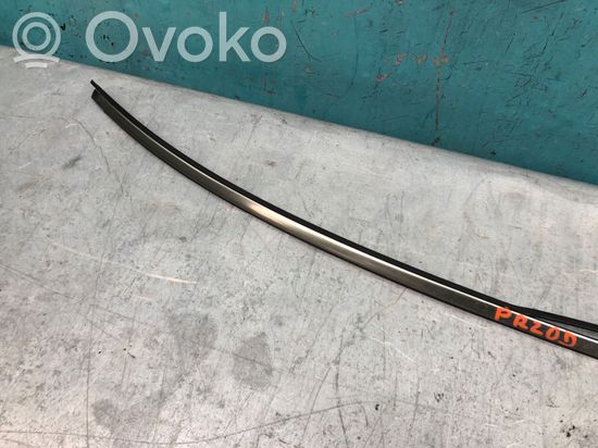 Mercedes-Benz E W124 Windshield trim