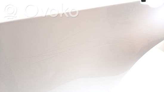 BMW X5 E70 Rear door