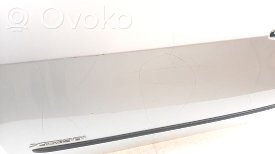 BMW X5 E70 Front door