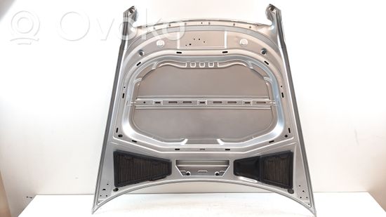 Volkswagen Phaeton Engine bonnet/hood