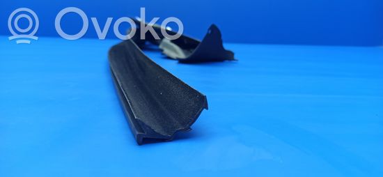 BMW 6 E63 E64 Rubber seal front coupe door window 7008568