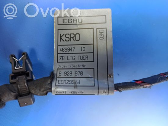 BMW 6 E63 E64 Front door wiring loom 14520061 69006053