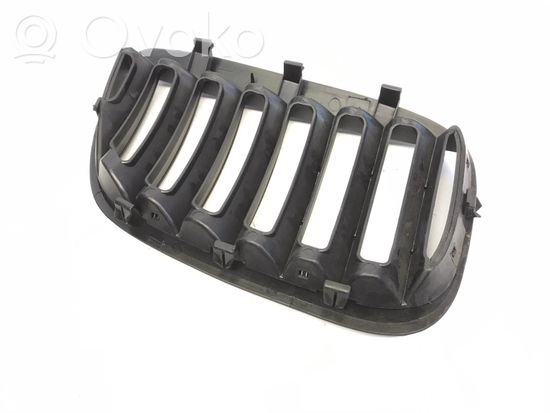 BMW X5 E53 Front grill