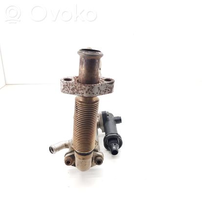 BMW 3 E46 EGR valve cooler