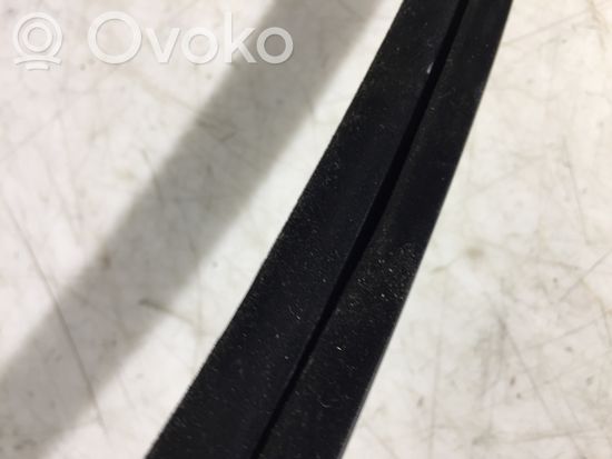 Audi A3 S3 A3 Sportback 8P Rubber seal front coupe door window